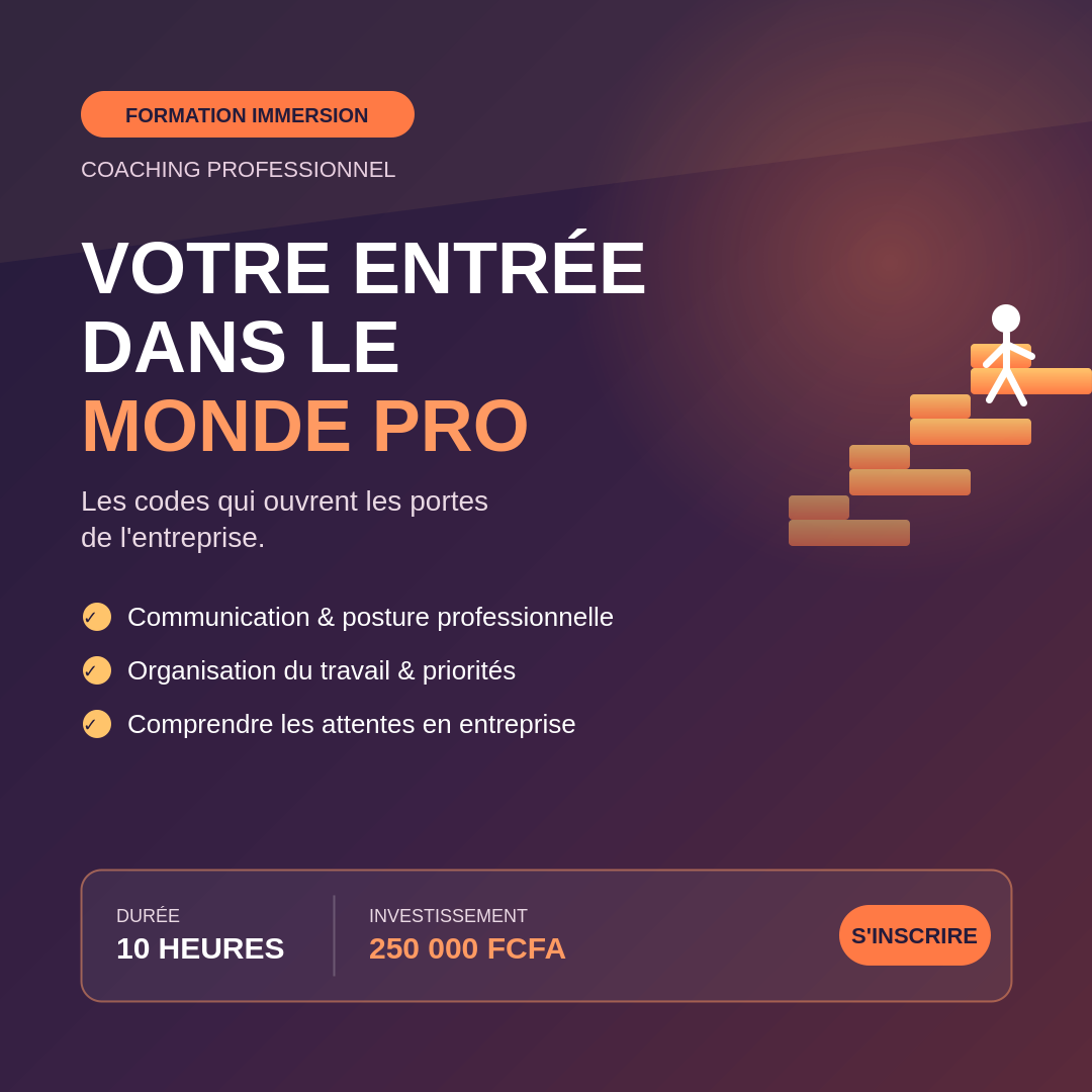 Introduction au monde professionnel